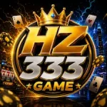 HZ333 Game