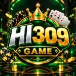 HI309 Game